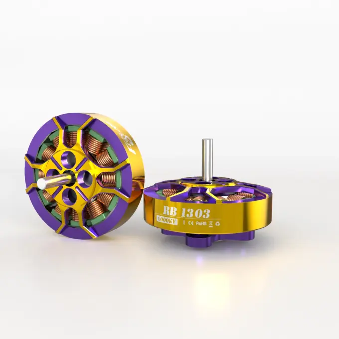 ROBO 1303 6000KV 2-4S